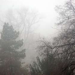 a jövő ködbe burkolózik